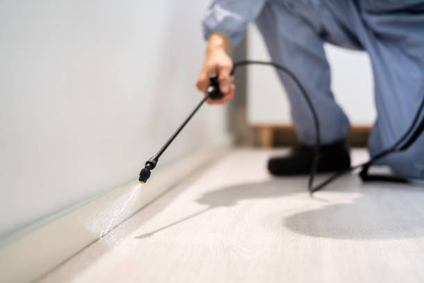 Licensed Termite Control service in Minerva, OH - Show Me Pest Control