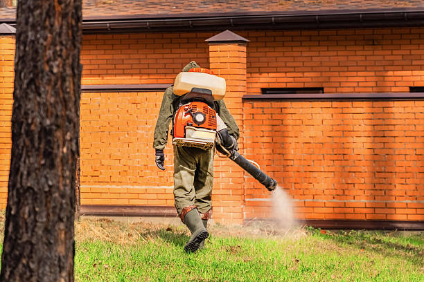 Bed Bug Clearance Verification and Documentation in Minerva